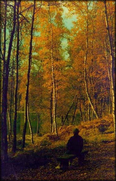 Forêt de Carnelle